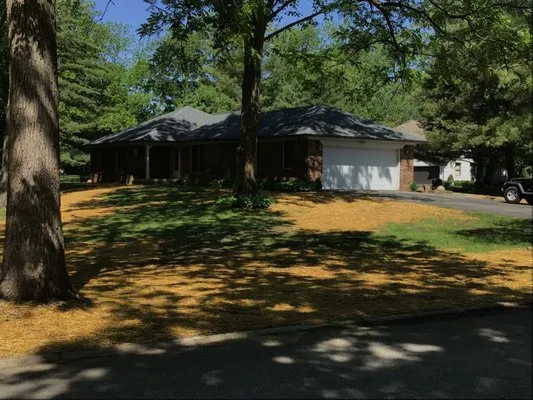 Milestone Landscaping Logo