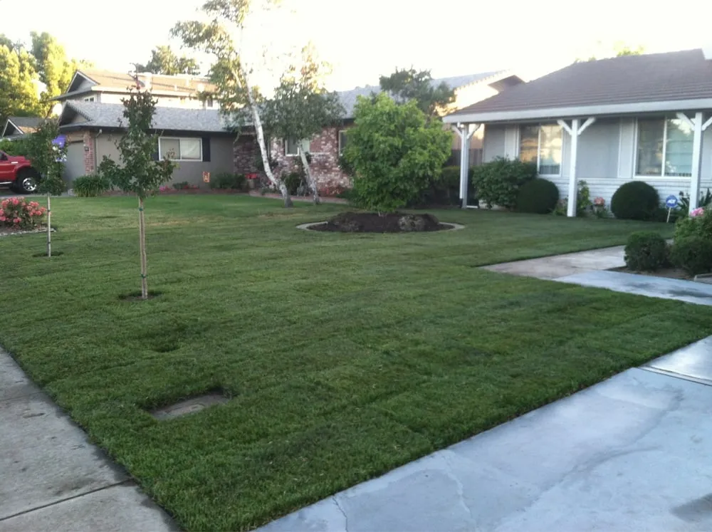 Custom yard maintenance near you across Lodi, CA - Milestone Landscaping