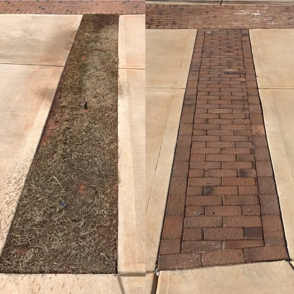 Local landscaping services experts serving Dawsonville, GA - Milestone Masonry Pro