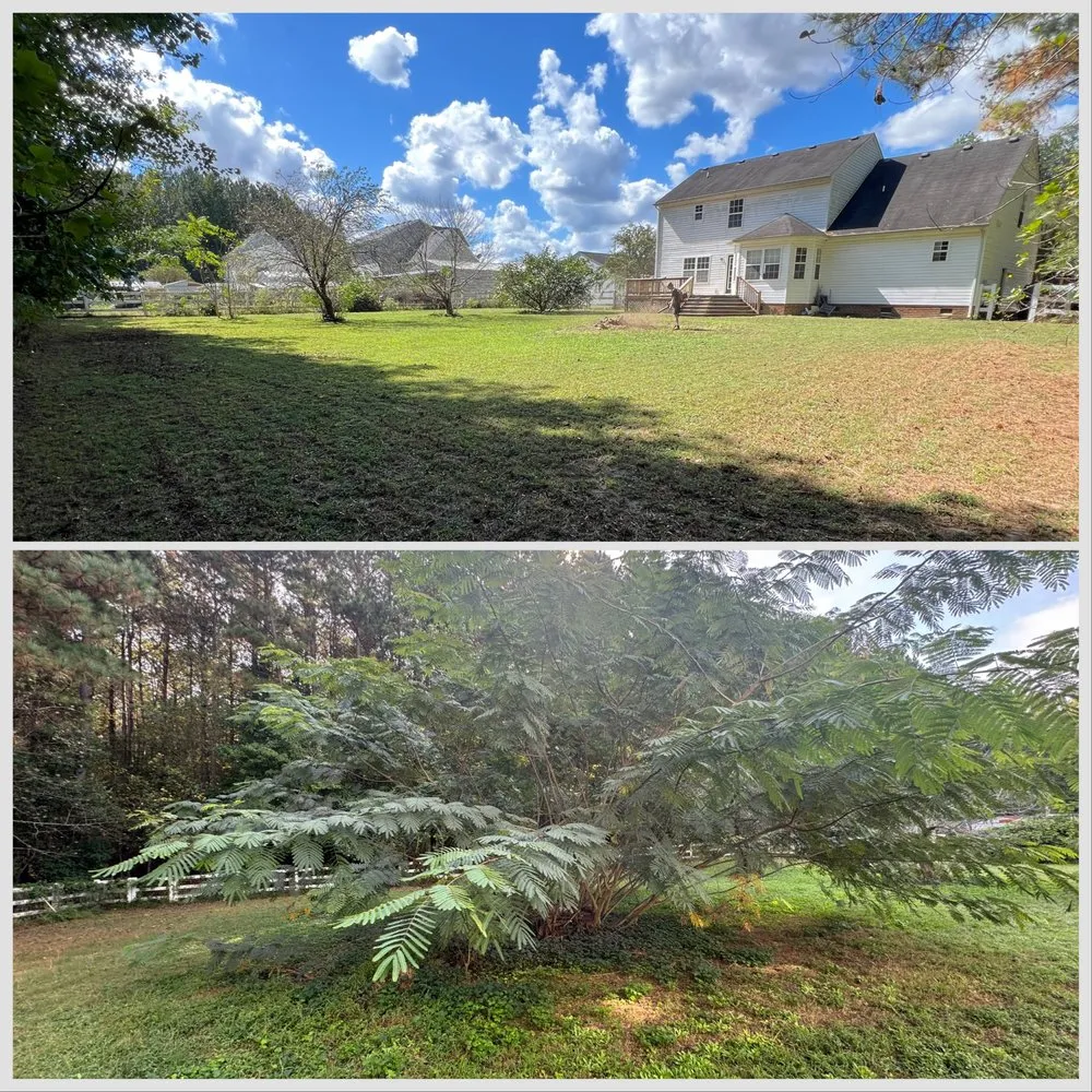 Trusted yard maintenance in Franklin, VA - Milestone Property Management