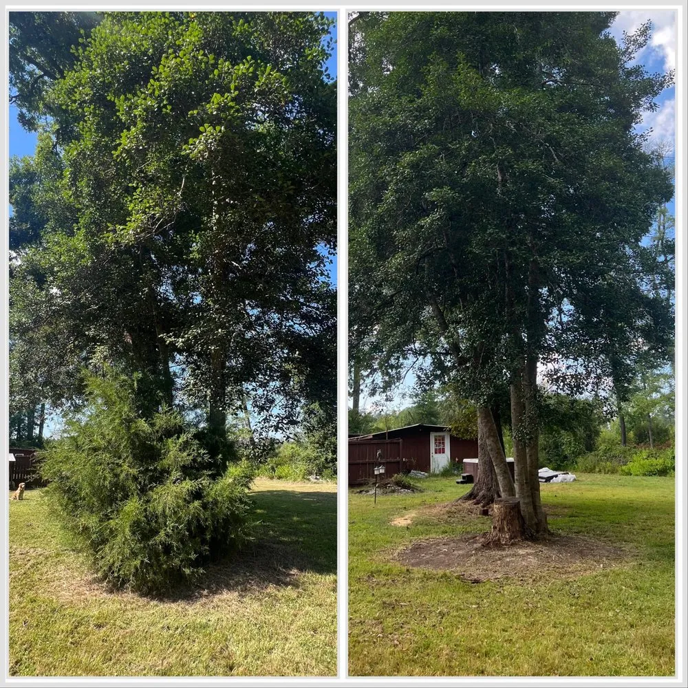 Top-rated lawn mowing service with custom design in Franklin, VA by Milestone Property Management