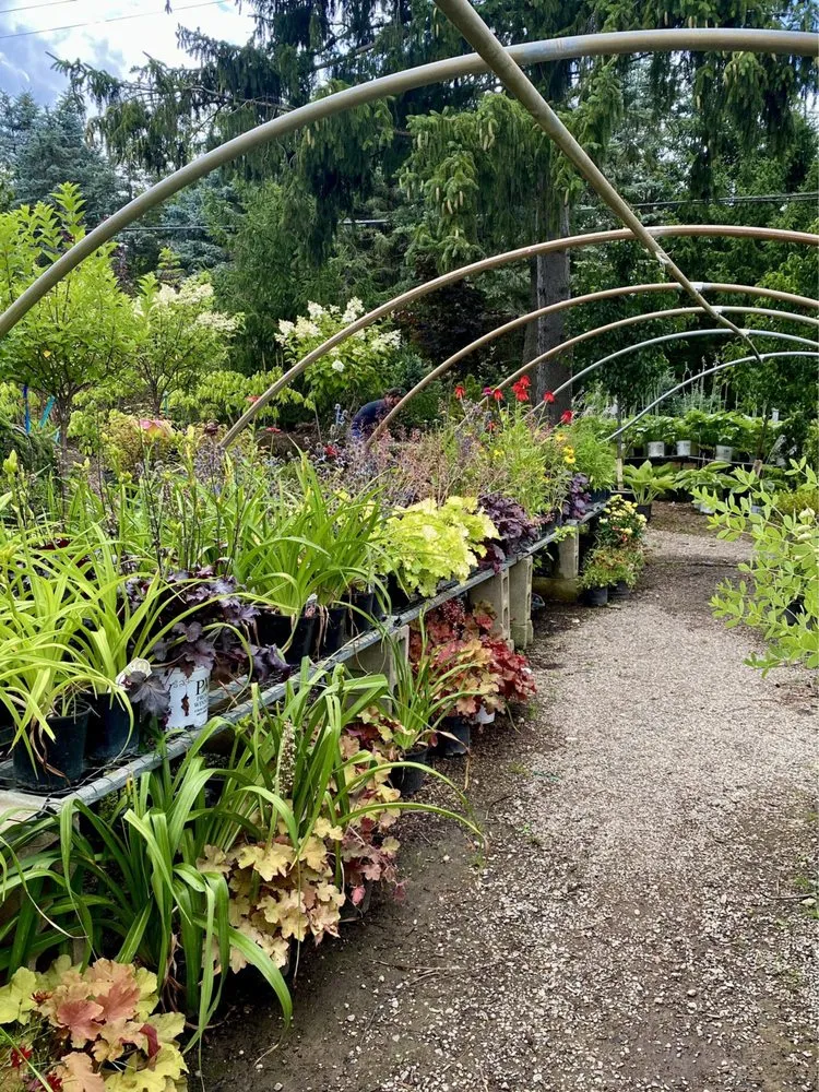 Local yard cleanup service experts serving Milford, MI - Milford Gardens