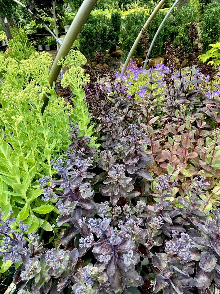 Custom landscaping services in Milford, MI - Milford Gardens