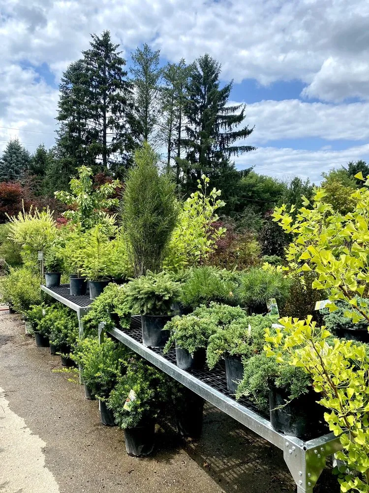 Reliable yard cleanup service in Milford, MI - Milford Gardens