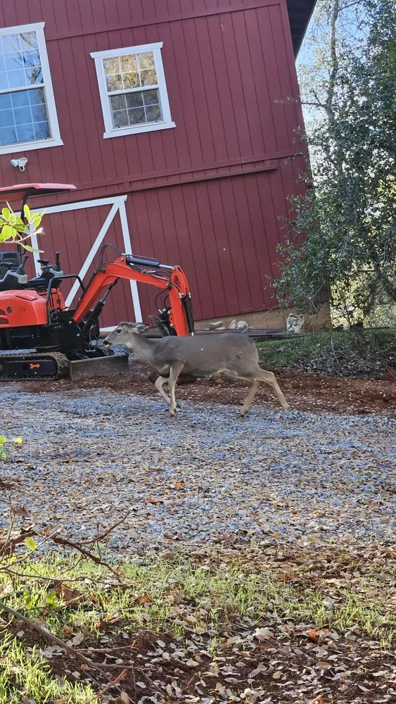 Trusted garden landscaping for beautiful yards across Sacramento, CA - MilGen