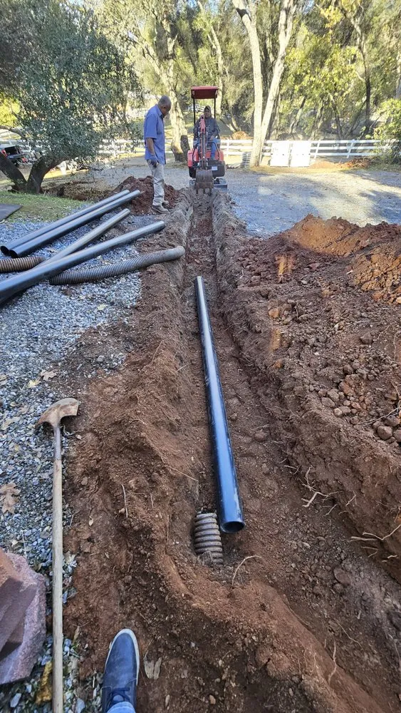 Professional landscape installation for year-round maintenance in Sacramento, CA by MilGen