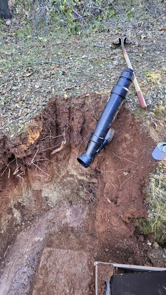 Top-rated landscaping services in Sacramento, CA by MilGen