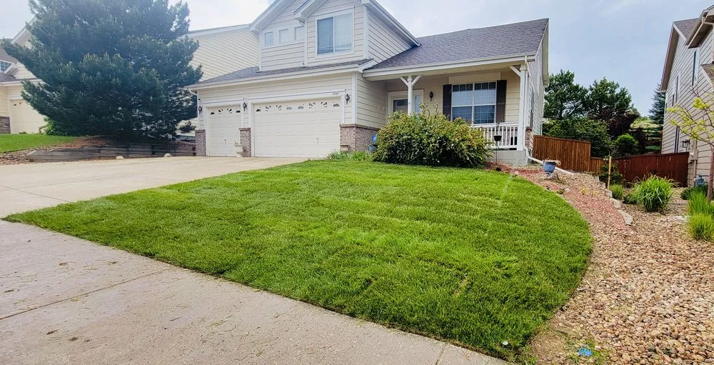 Professional landscape design in Castle Rock, CO by Miliano’s Lawn Care