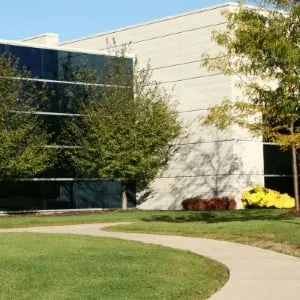 Top-rated yard cleanup service experts serving Lake Zurich, IL - Milieu Landscaping