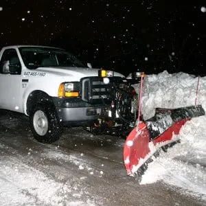 Reliable yard cleanup service in Lake Zurich, IL - Milieu Landscaping