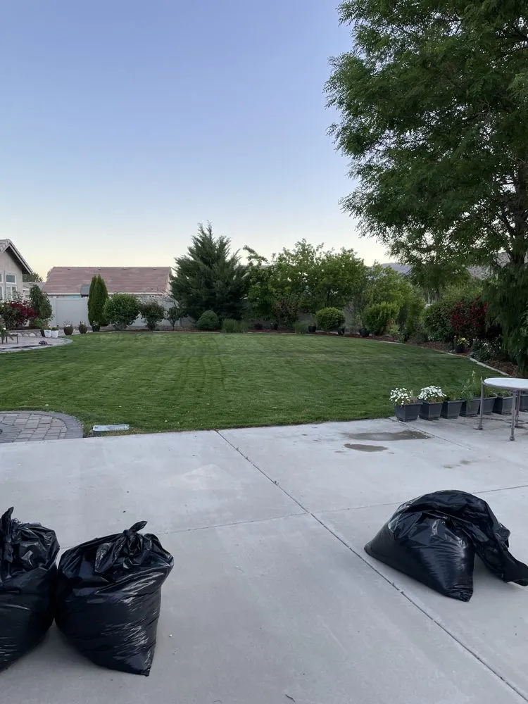 Professional landscape design in Sun Valley, NV - Miliki’s Landscaping