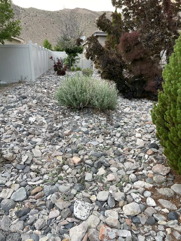 Reliable outdoor landscaping for beautiful yards in Sun Valley, NV by Miliki’s Landscaping