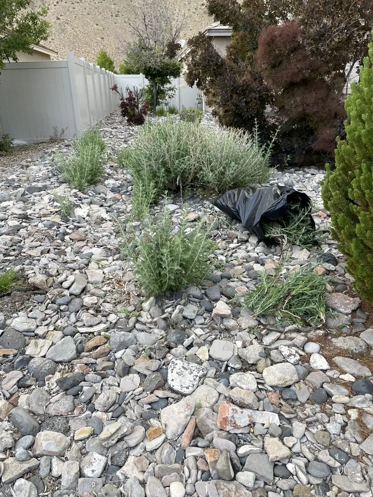 Reliable yard maintenance experts serving Sun Valley, NV - Miliki’s Landscaping