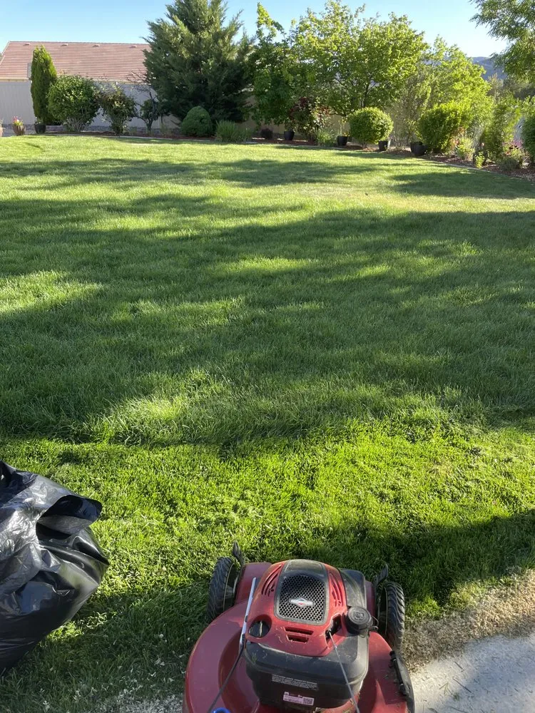 Affordable garden landscaping experts serving Sun Valley, NV - Miliki’s Landscaping