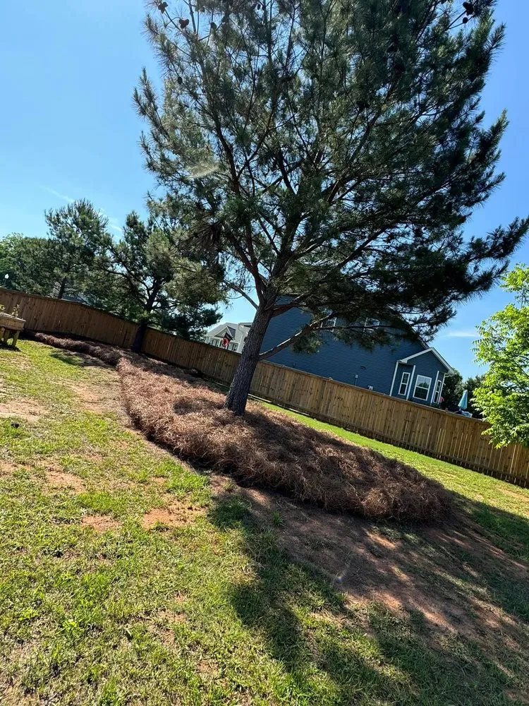 Expert landscape installation for outdoor upgrades in Pelzer, SC by Milio’s Landscaping & Lawn Maintenance