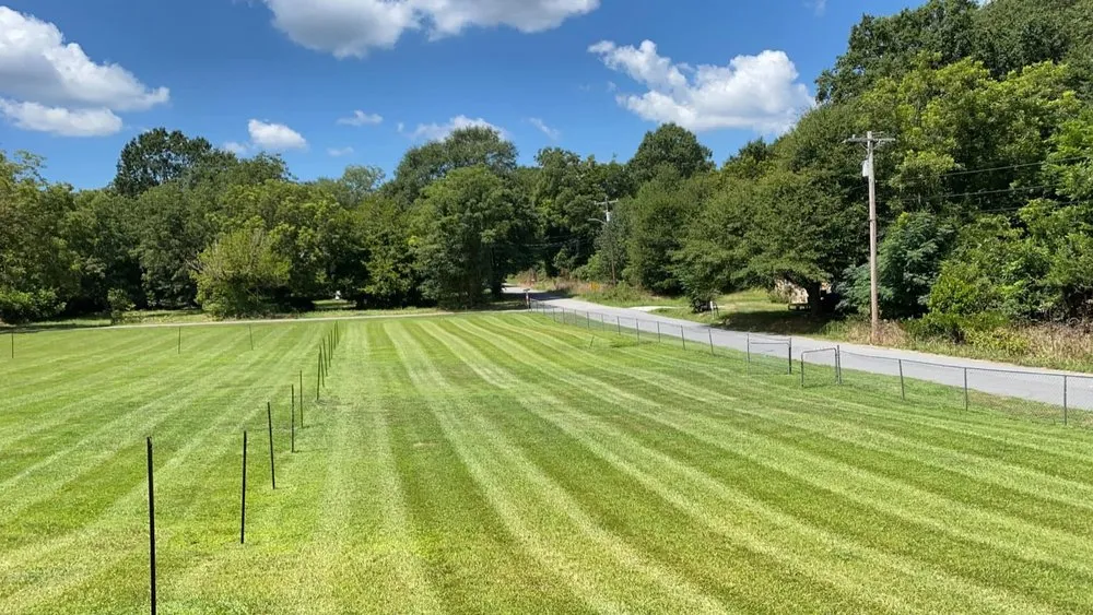 Expert outdoor landscaping for beautiful yards across Pelzer, SC - Milio’s Landscaping & Lawn Maintenance