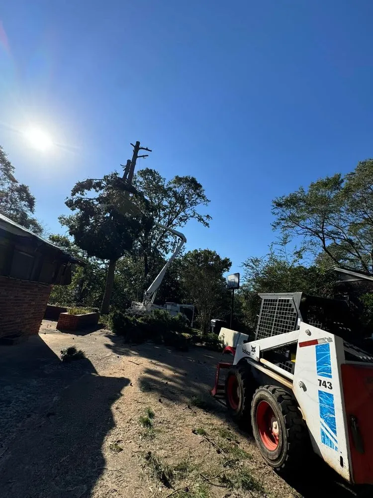 Professional lawn care service experts serving Pelzer, SC - Milio’s Landscaping & Lawn Maintenance