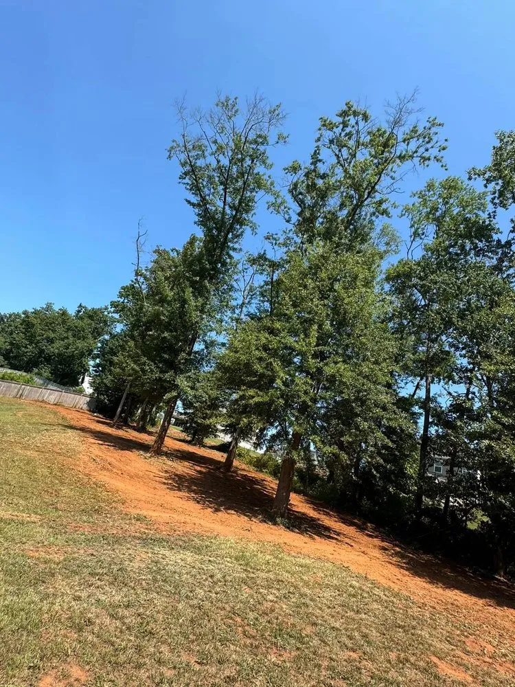 Reliable lawn mowing service experts serving Pelzer, SC - Milio’s Landscaping & Lawn Maintenance