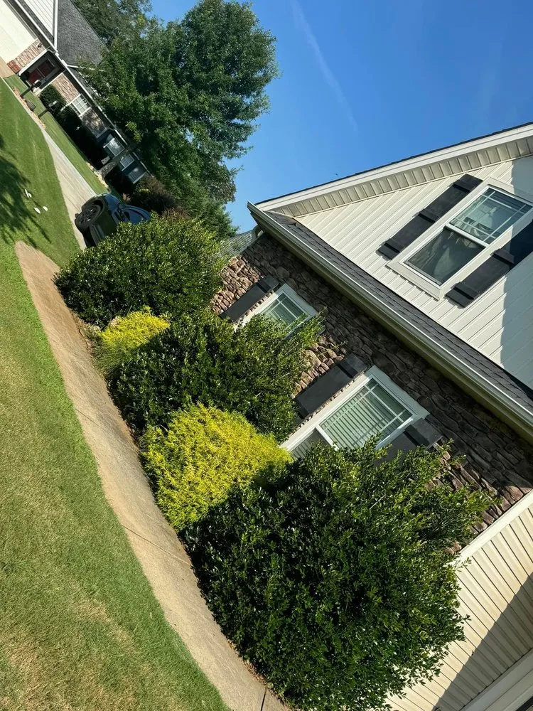 Top-rated landscaping services in Pelzer, SC - Milio’s Landscaping & Lawn Maintenance