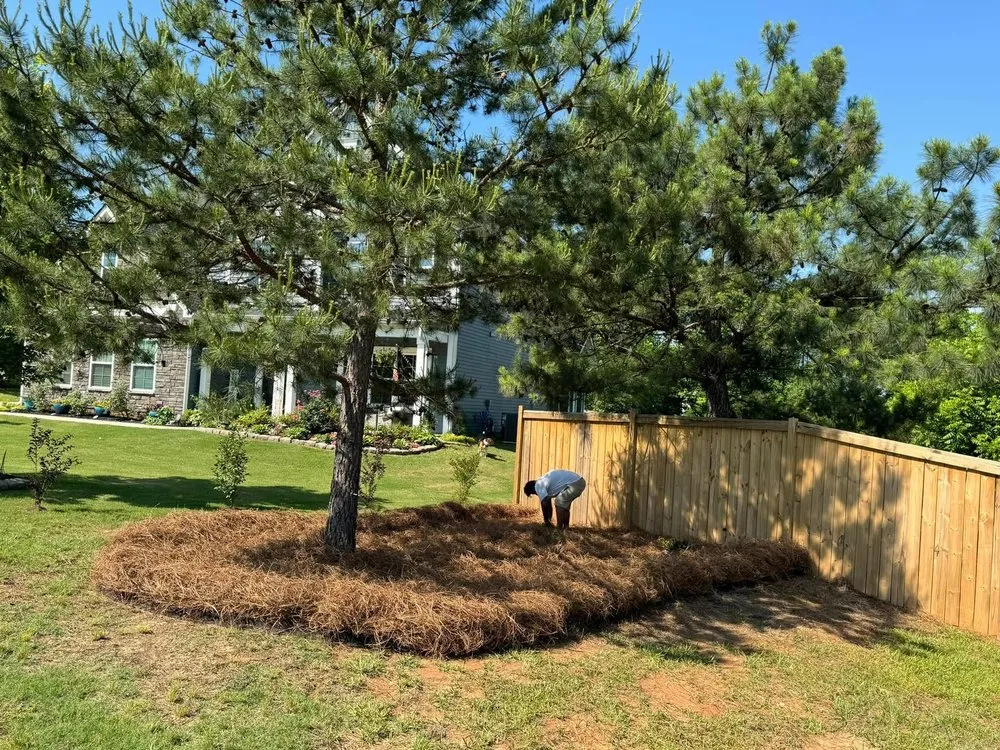 Top-rated landscaping services experts serving Pelzer, SC - Milio’s Landscaping & Lawn Maintenance