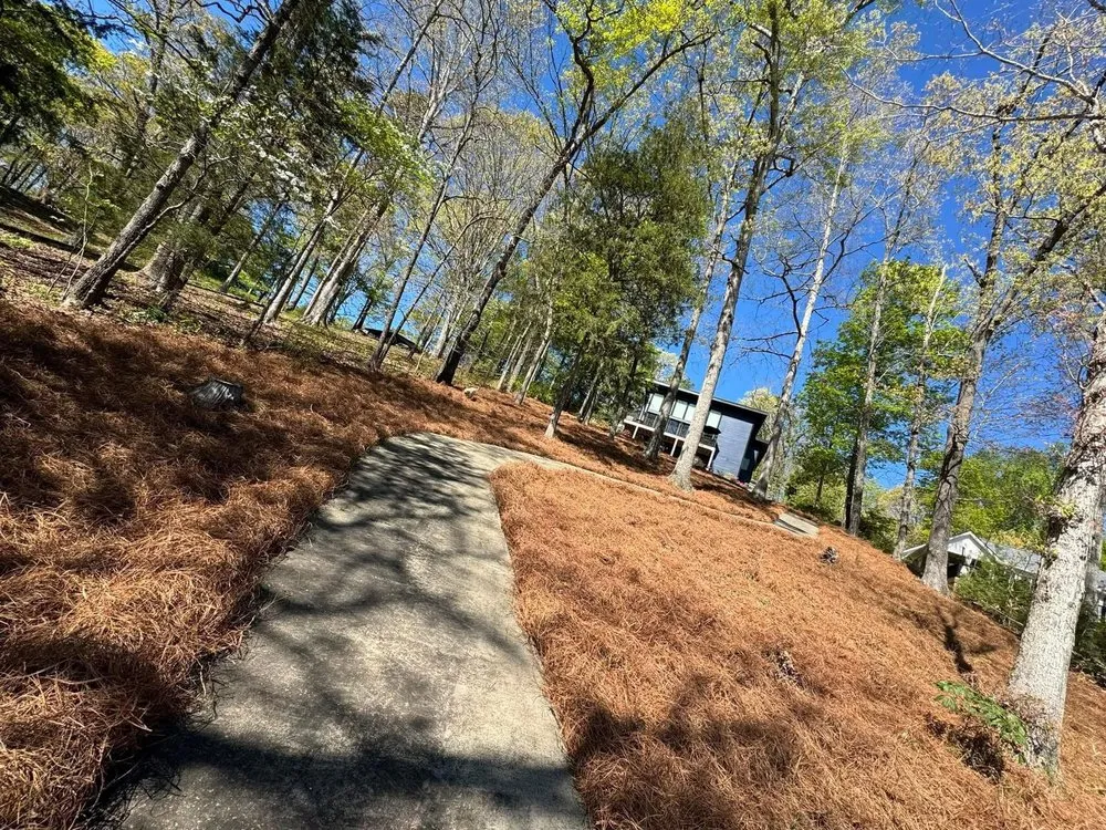 Expert outdoor landscaping in Pelzer, SC by Milio’s Landscaping & Lawn Maintenance