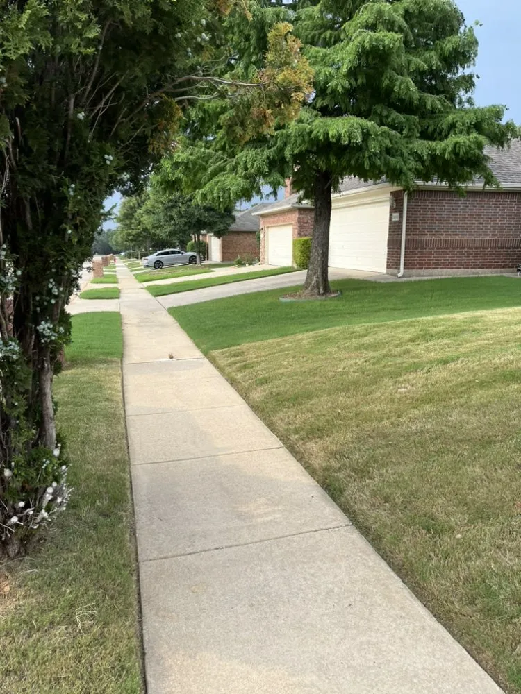 Trusted yard cleanup service experts serving Haltom City, TX - Mili's Lawn Service