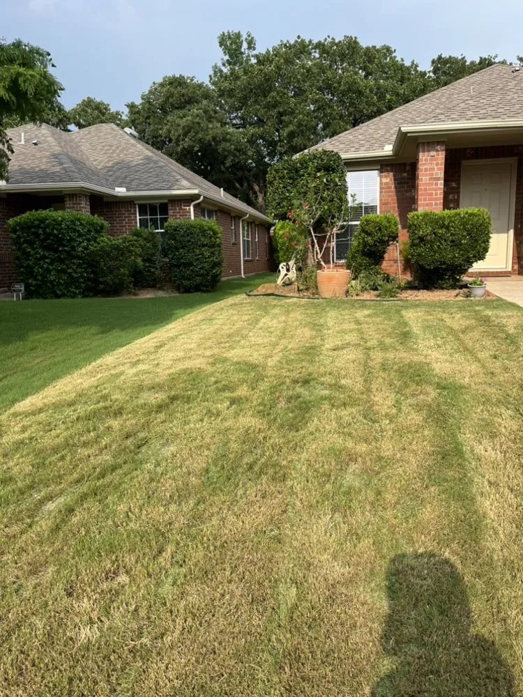 Expert yard maintenance for homes in Haltom City, TX by Mili's Lawn Service