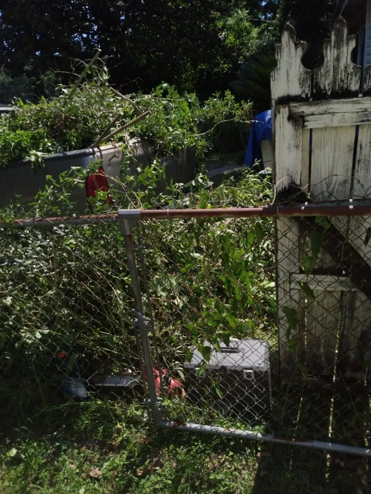 Reliable outdoor landscaping for residential properties across Pensacola, FL - Milita Lawn Services