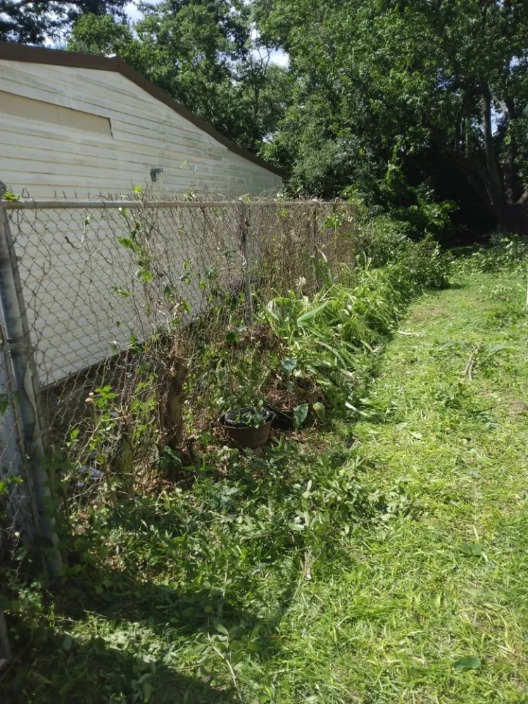 Local residential landscaping in Pensacola, FL - Milita Lawn Services