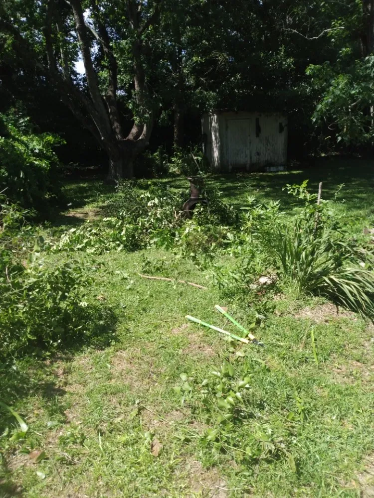 Custom landscaping services in Pensacola, FL - Milita Lawn Services