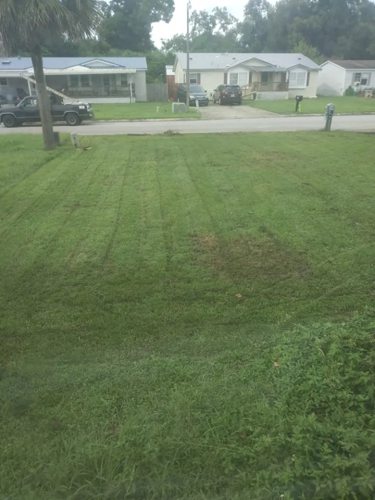 Top-rated residential landscaping for beautiful yards in Pensacola, FL by Milita Lawn Services