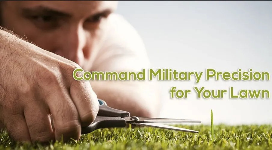 Affordable yard cleanup service near you across Sarasota, FL - Military Cut