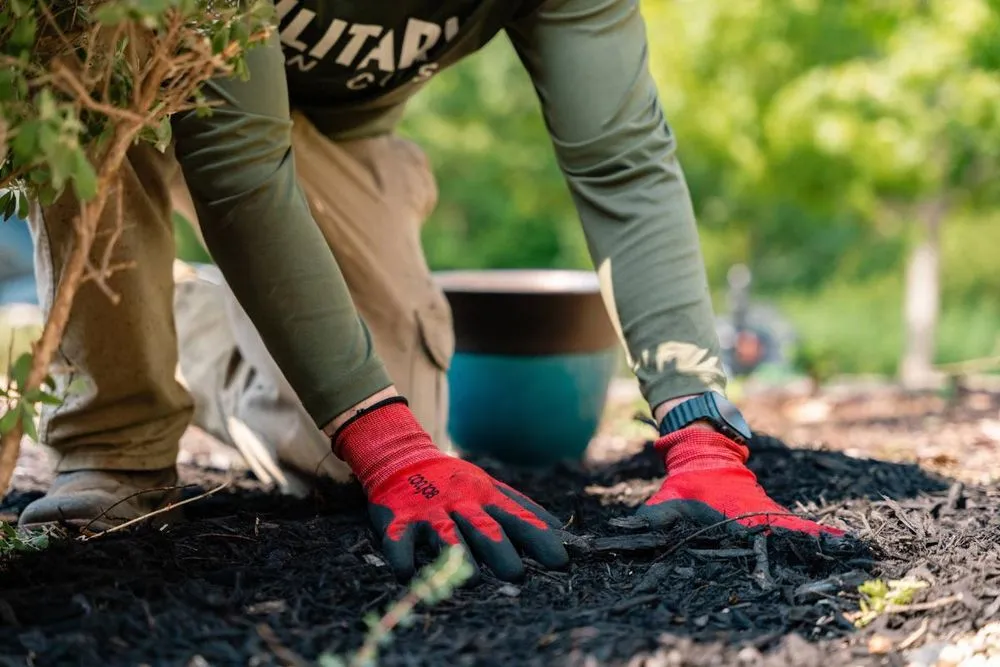 Trusted landscape design experts serving Aubrey, TX - Military Lawn Cuts