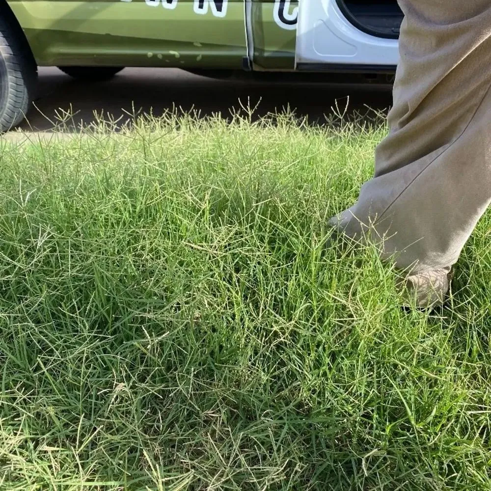 Affordable outdoor landscaping for year-round maintenance across Aubrey, TX - Military Lawn Cuts