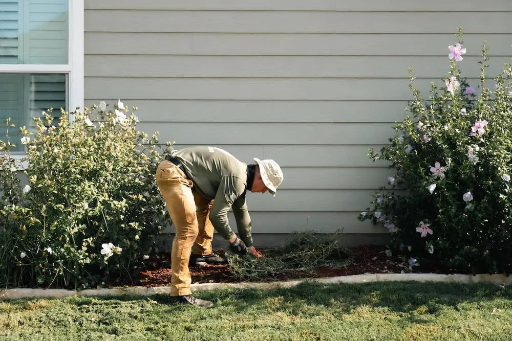 Custom landscape installation for year-round maintenance in Little Elm, TX by Military Lawn Cuts