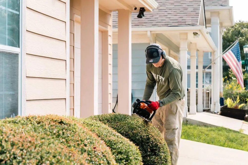 Professional garden landscaping in Little Elm, TX - Military Lawn Cuts