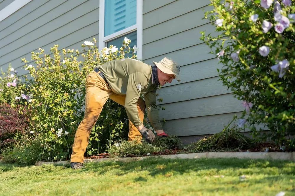 Top-rated yard cleanup service in Pilot Point, TX - Military Lawn Cuts
