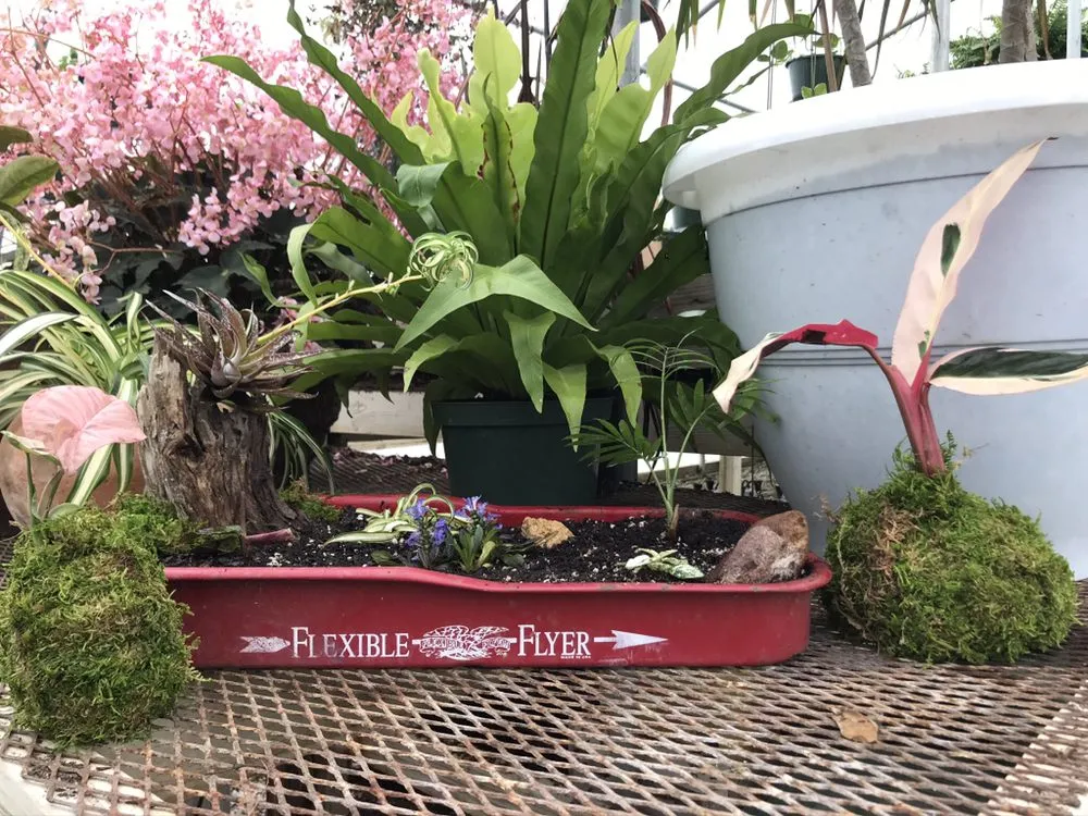 Trusted yard maintenance with custom design across Pocahontas, AR - Mill Creek Gardens