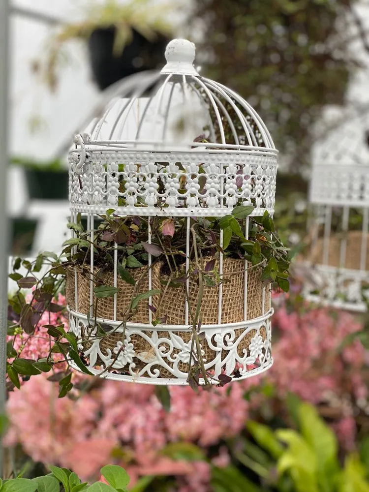 Professional yard maintenance in Pocahontas, AR - Mill Creek Gardens