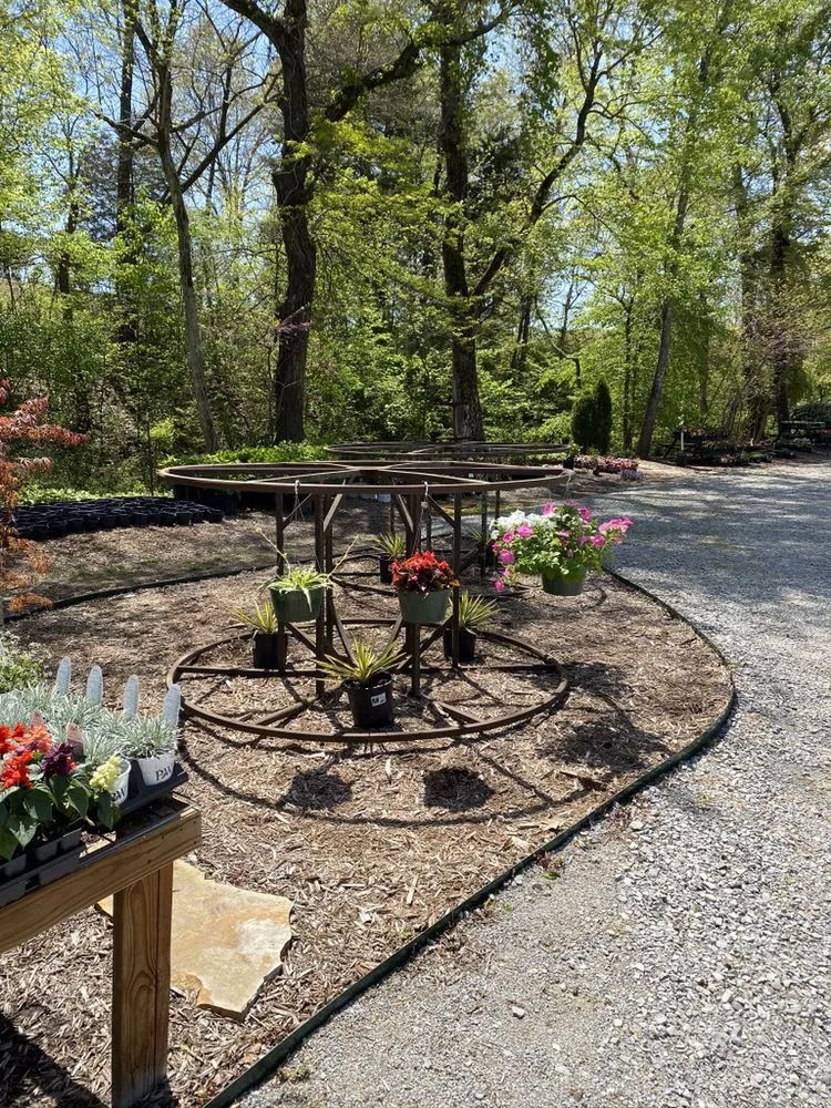 Top-rated lawn care service for beautiful yards in Pocahontas, AR by Mill Creek Gardens