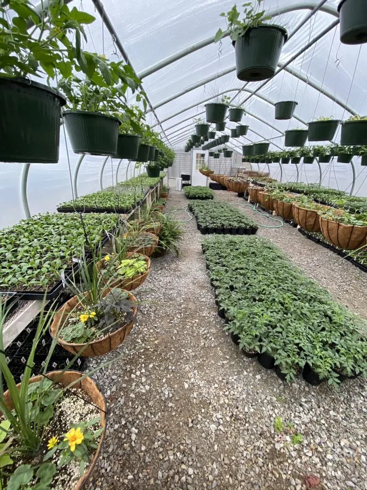 Trusted garden landscaping in Pocahontas, AR - Mill Creek Gardens