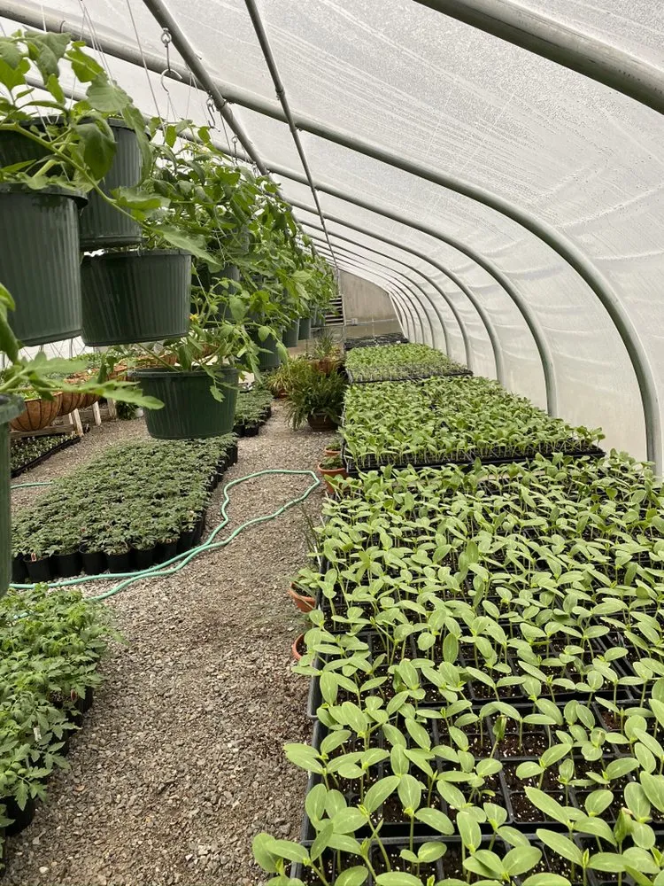 Affordable landscape design experts serving Pocahontas, AR - Mill Creek Gardens