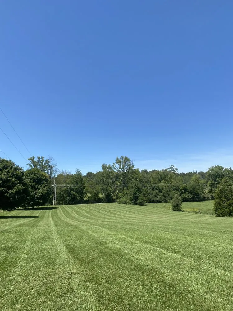 Top-rated lawn care service experts serving Mulberry, AR - Mill Creek Lawn Care