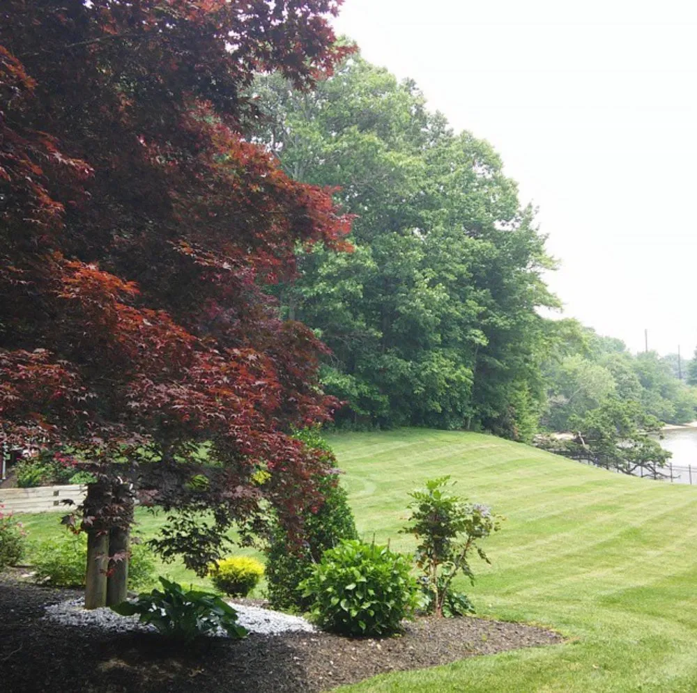 Professional residential landscaping experts serving Aberdeen, MD - Mill Creek Lawn Care Services
