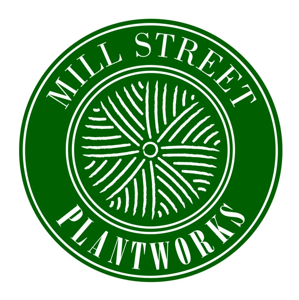 Local yard cleanup service for homes in Vienna, VA by Mill Street Plantworks