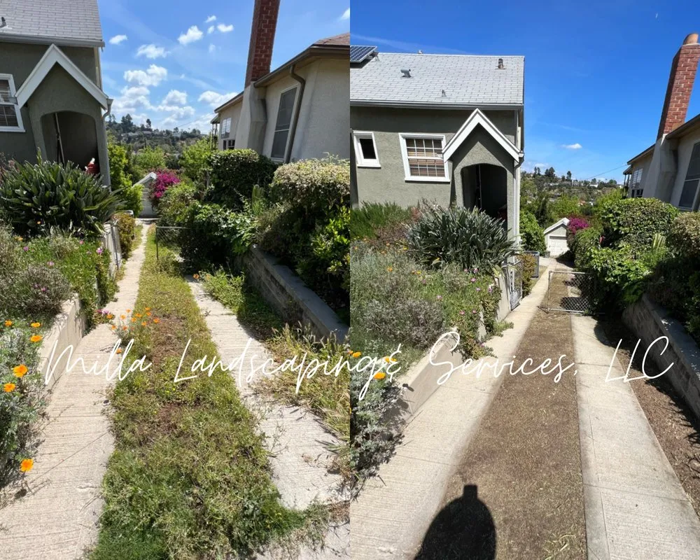Local residential landscaping for outdoor upgrades in Glendale, CA by Milla Landscaping & Services