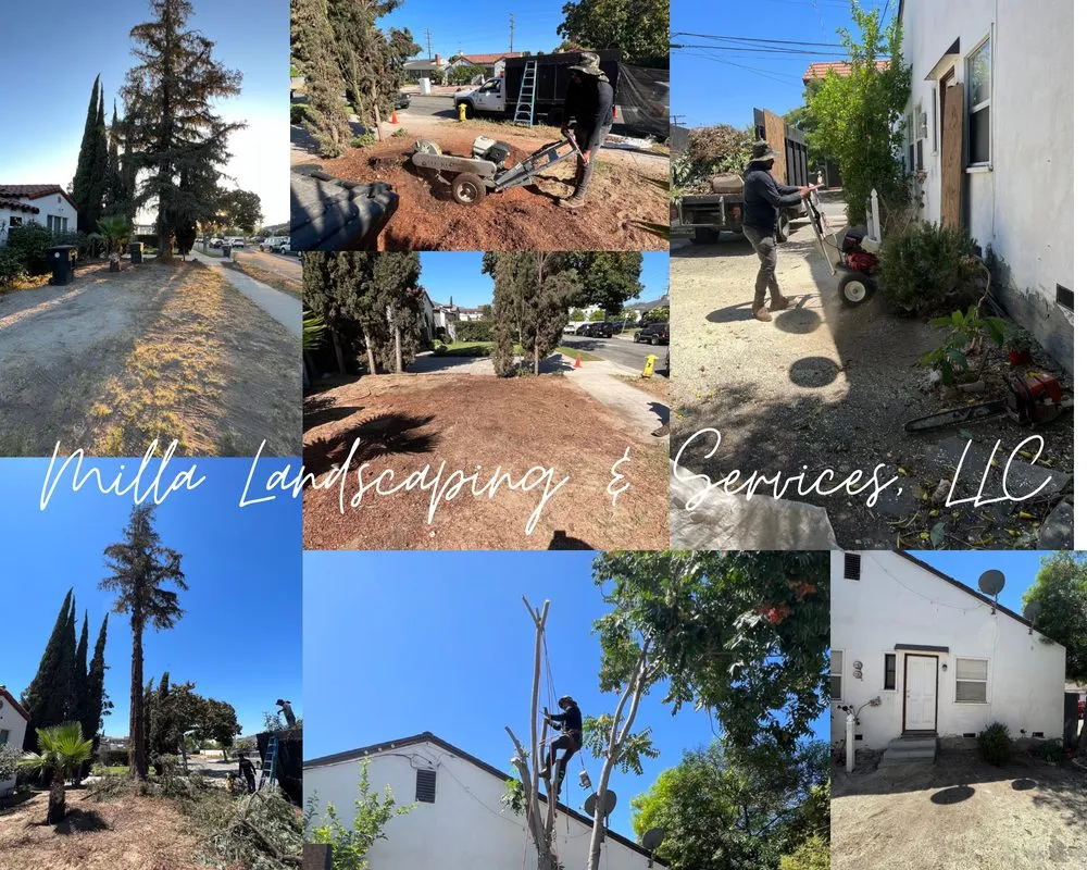 Expert landscape installation for homes across Glendale, CA - Milla Landscaping & Services