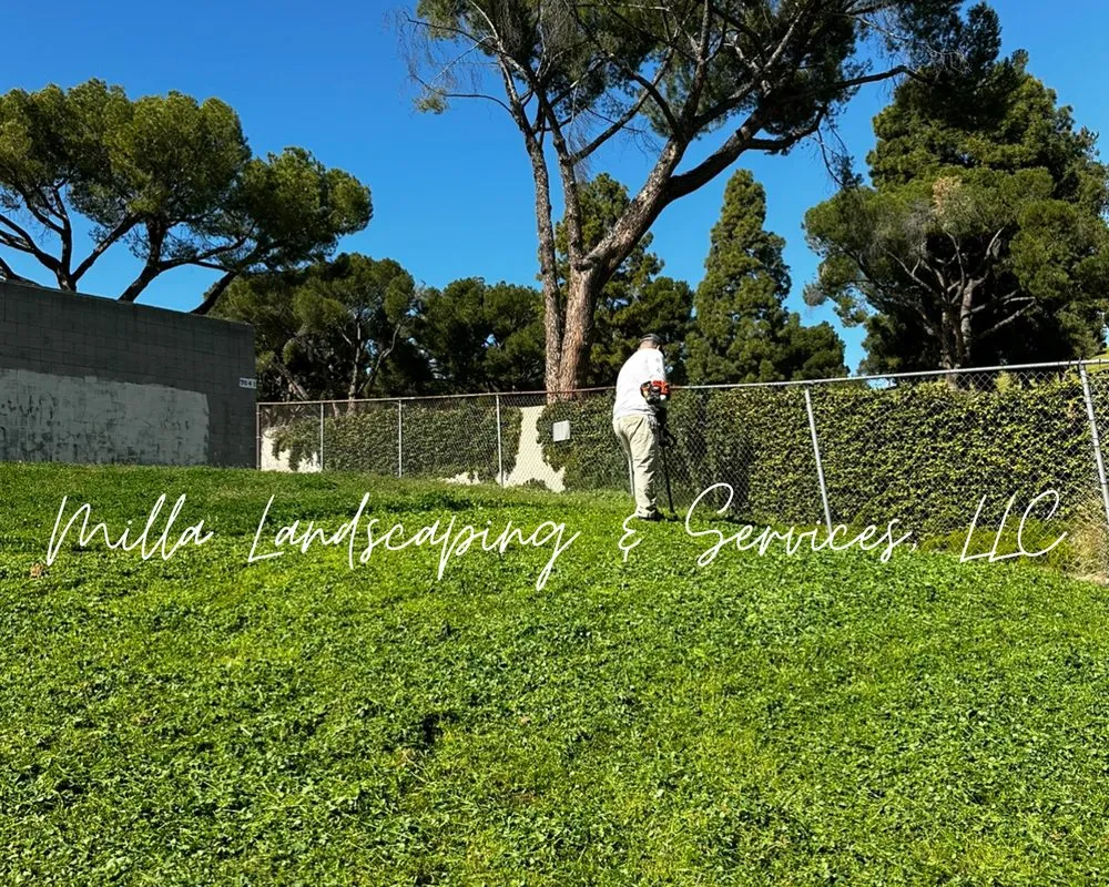 Professional yard cleanup service for residential properties in Glendale, CA by Milla Landscaping & Services