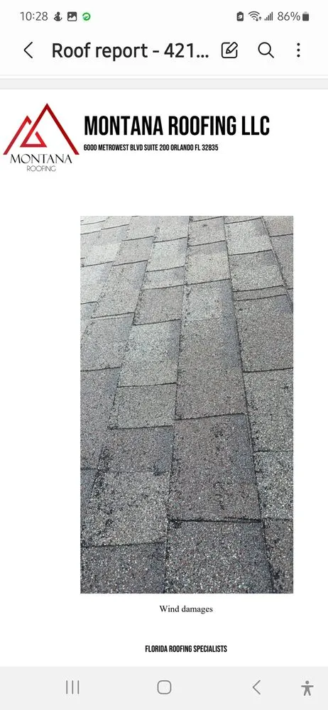 Expert yard maintenance in Davenport, FL - Millan & C O