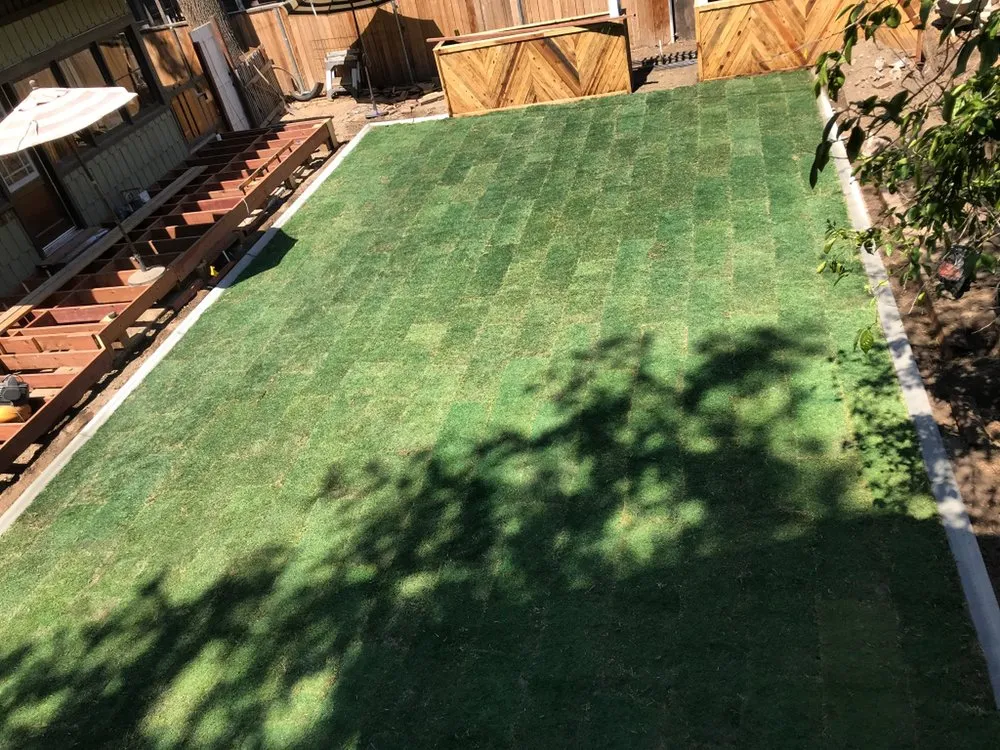 Professional lawn mowing service experts serving Bakersfield, CA - Millan Landscape